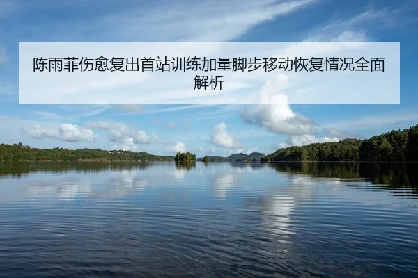 陈雨菲伤愈复出首站训练加量脚步移动恢复情况全面解析