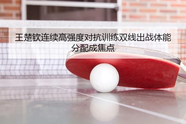 王楚钦连续高强度对抗训练双线出战体能分配成焦点