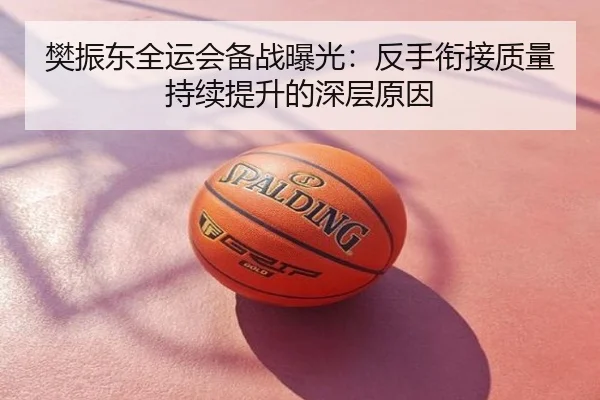 樊振东全运会备战曝光：反手衔接质量持续提升的深层原因
