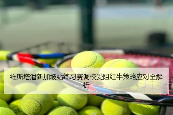 维斯塔潘新加坡站练习赛调校受阻红牛策略应对全解析