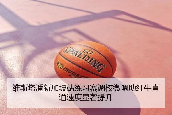 维斯塔潘新加坡站练习赛调校微调助红牛直道速度显著提升